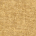 HT0019 var.403